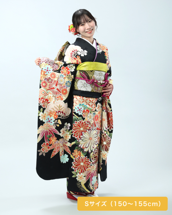 引き締まった黒地に大輪の菊